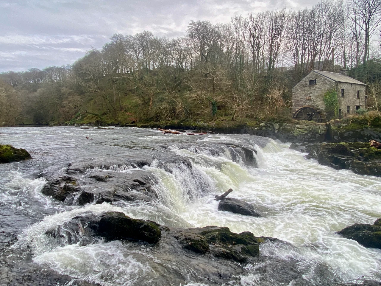 The falls and old mill at Cenarth, Carmarthenshire, on the River Teifi