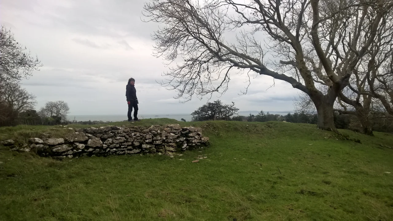 Southwestern rampart of Parciau hill fort, small adult for scale