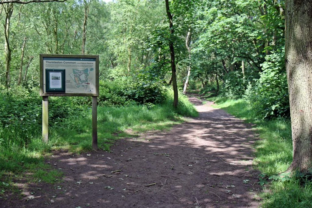 Path into Thurstaston Common, School Lane