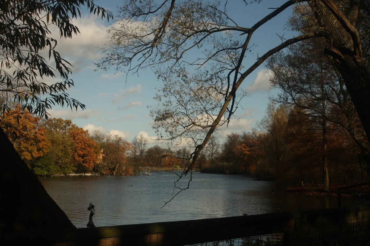 Tidal Lake Crystal Palace Park
