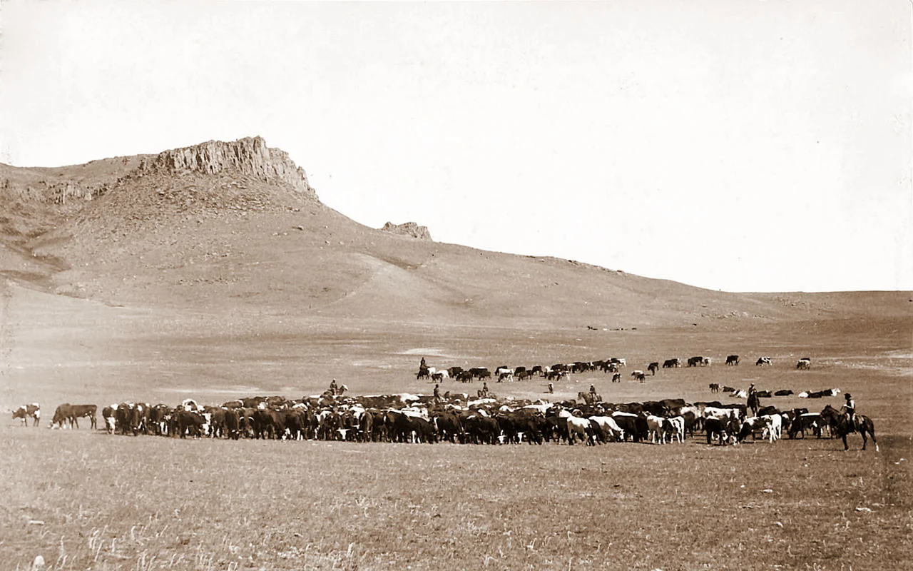 Cattle Roundup, Great Falls, MT, album by Geo B Bonnell, c1890. View of western scenery with mounted cowboys scattered among the cattle.