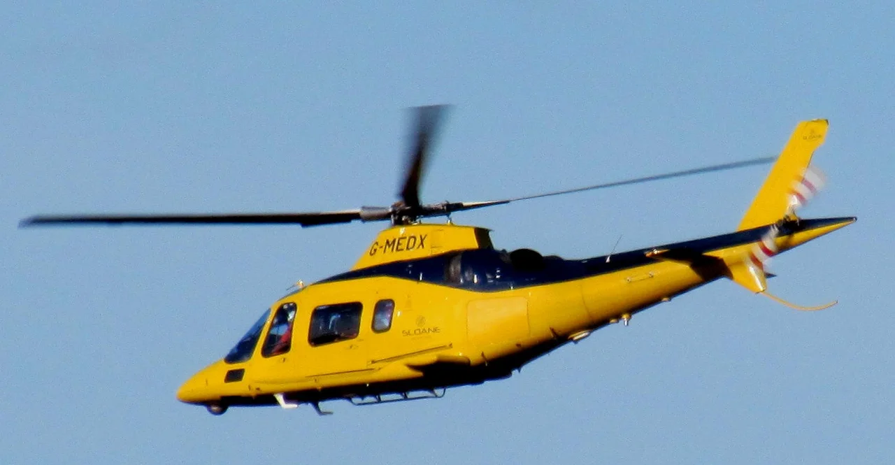 G-MEDX