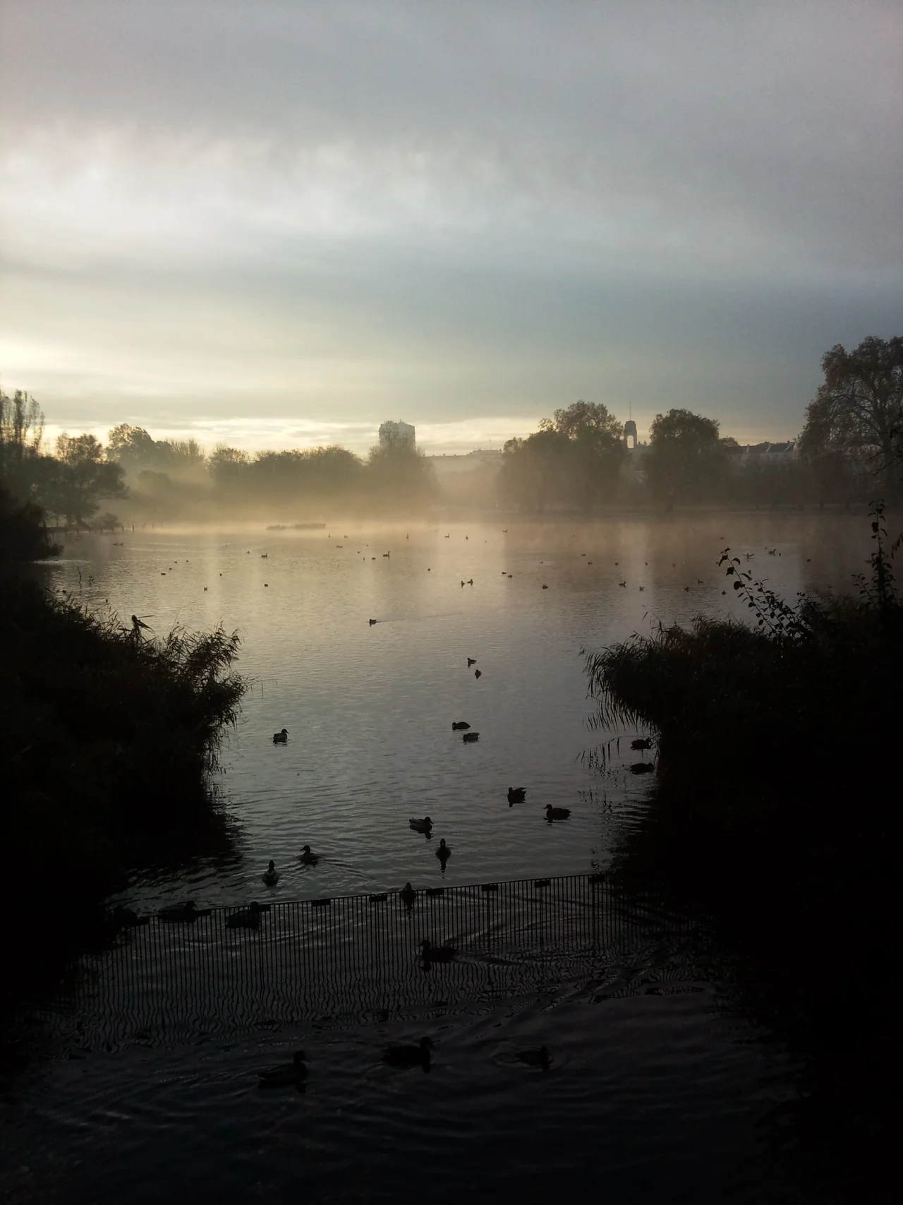 Lake in Regent's Park