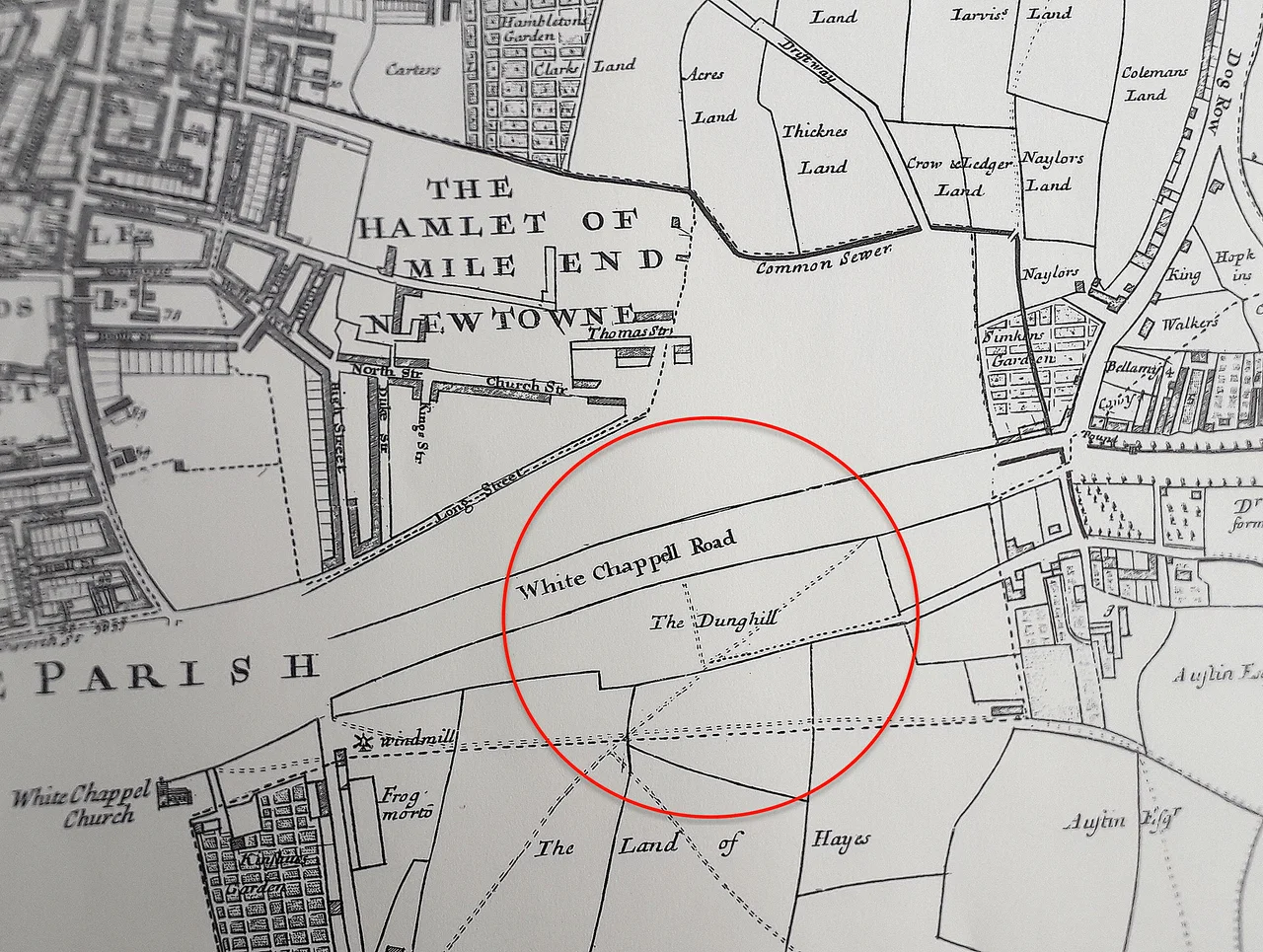 A crop of Joel Gascoyne's survey of Stepney showing Whitechapel Mount and adjoining area