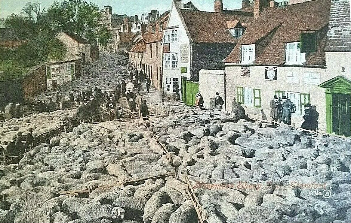 “ November Sheep Fair, Stamford”, postcard showing annual one-day sheep fair of St Simon and St Jude at Stamford, Lincolnshire.