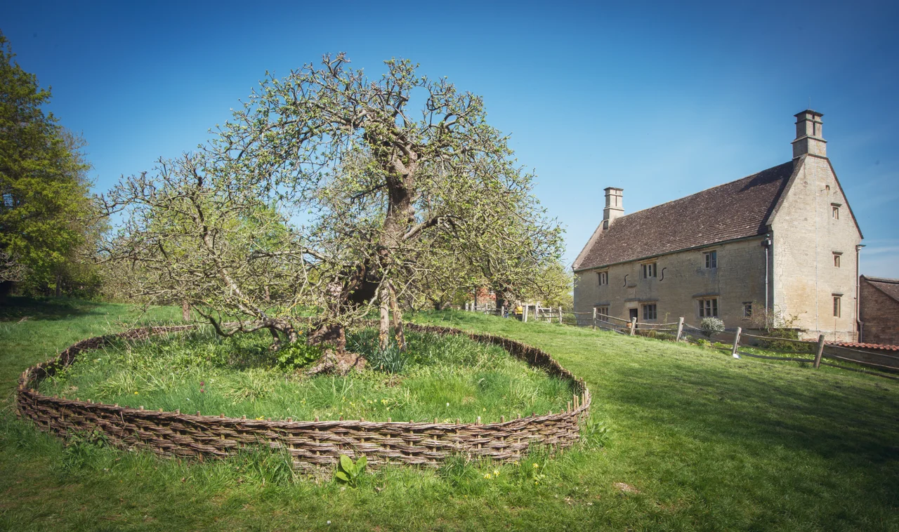 Woolsthorpe Manor, the former home of Isaac Newton and in the foreground the Apple Tree understood to be the famous tree with regard gravity.