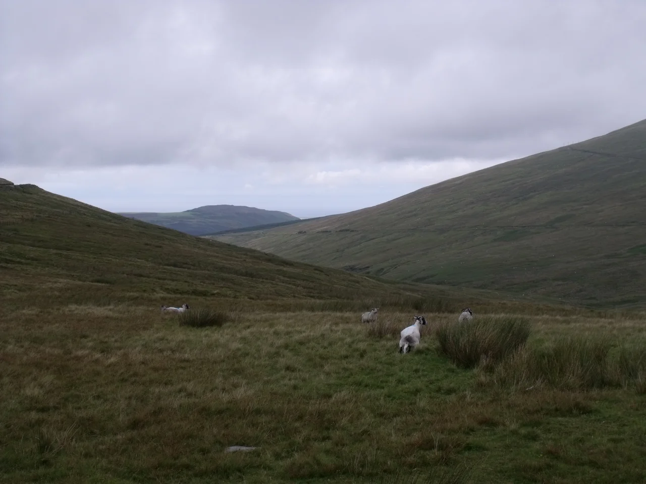 Top of Snaefell Mountain, Isle of Man's highest point. Seen are the geodesic marker indicating the true summit and the nearby cairn with the informational plaque attached to it.