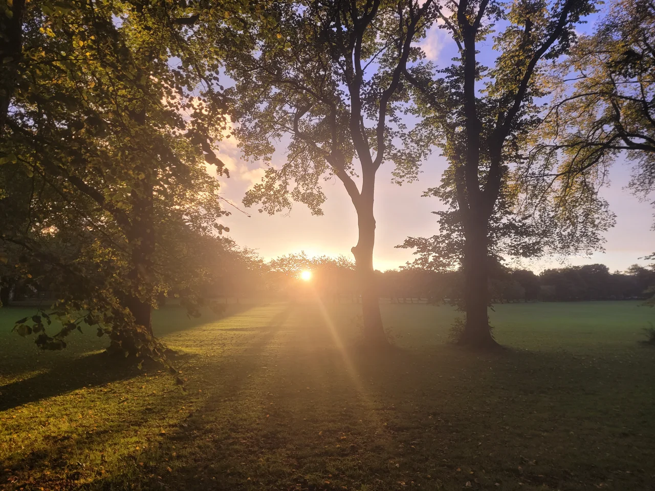 Sunrise, The Meadows in Edinburgh, parks in Edinburgh