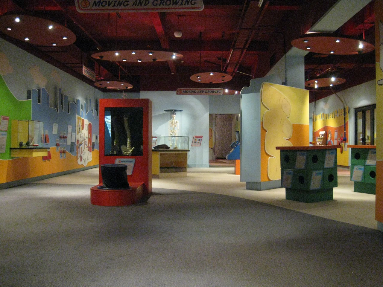 Moving and Growing.  Activity zone for children in the Thackray Medical Museum, Leeds
