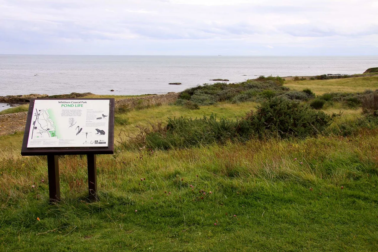 Information board in Whitburn Coastal Park