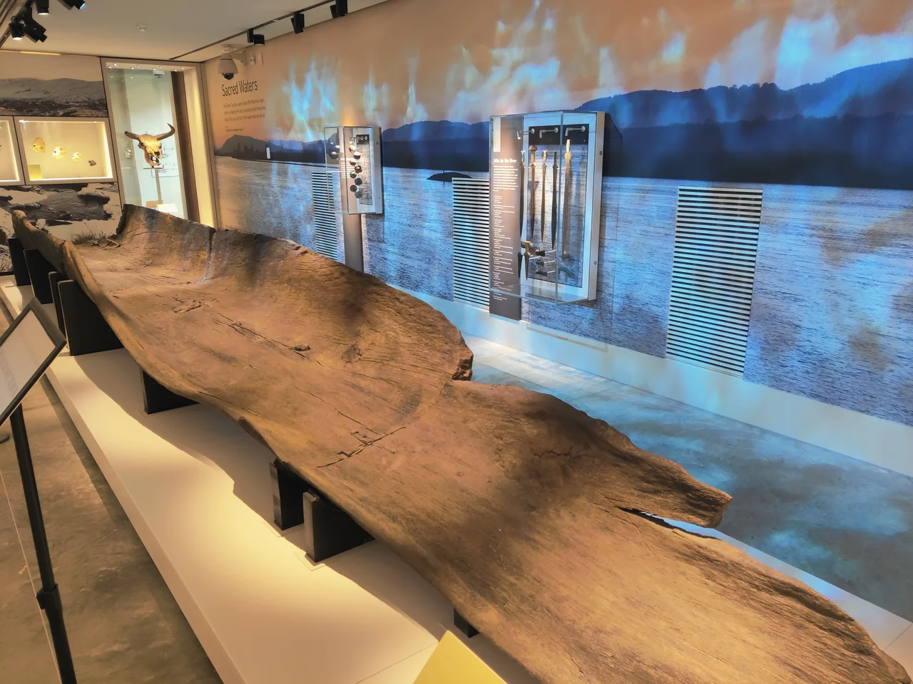 The bronze age Carpow logboat on display at Perth Museum, recovered from the River Tay at Abernethy, Perthshire.