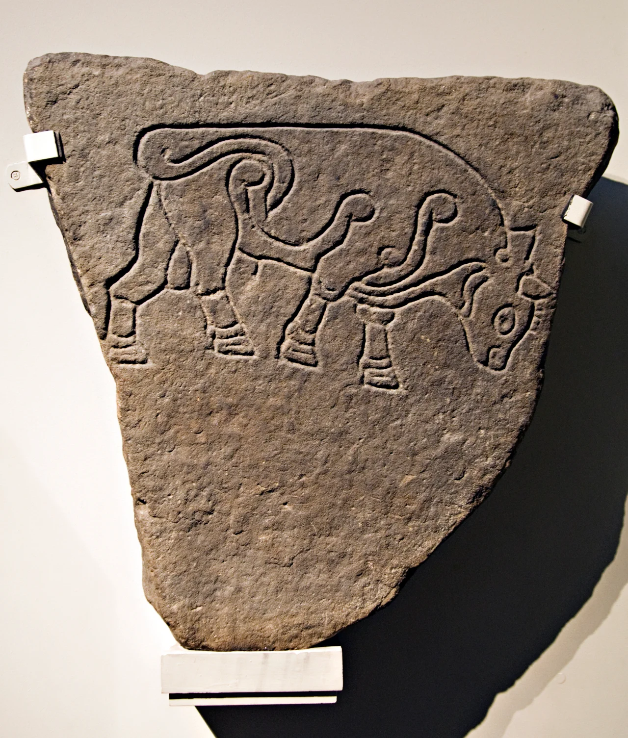 Pictish carving, the "Burghead Bull", now in the British Museum. Tag on exhibit says: "Pictish carving: 'The Burghead Bull', 7th century AD, from Burghead, Morayshire, Grampian, Scotland." and "MME 1861,10-24,1" See BM database entry for more details.