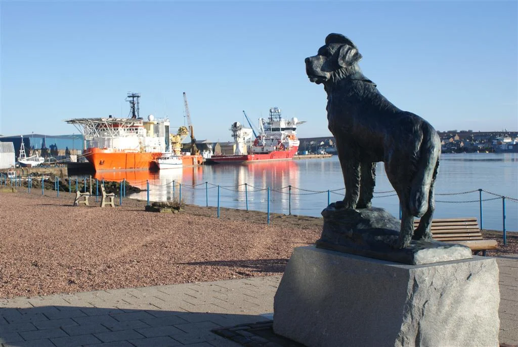 Bamse The Bamse statue sitting proudly on the quayside by Montrose harbour