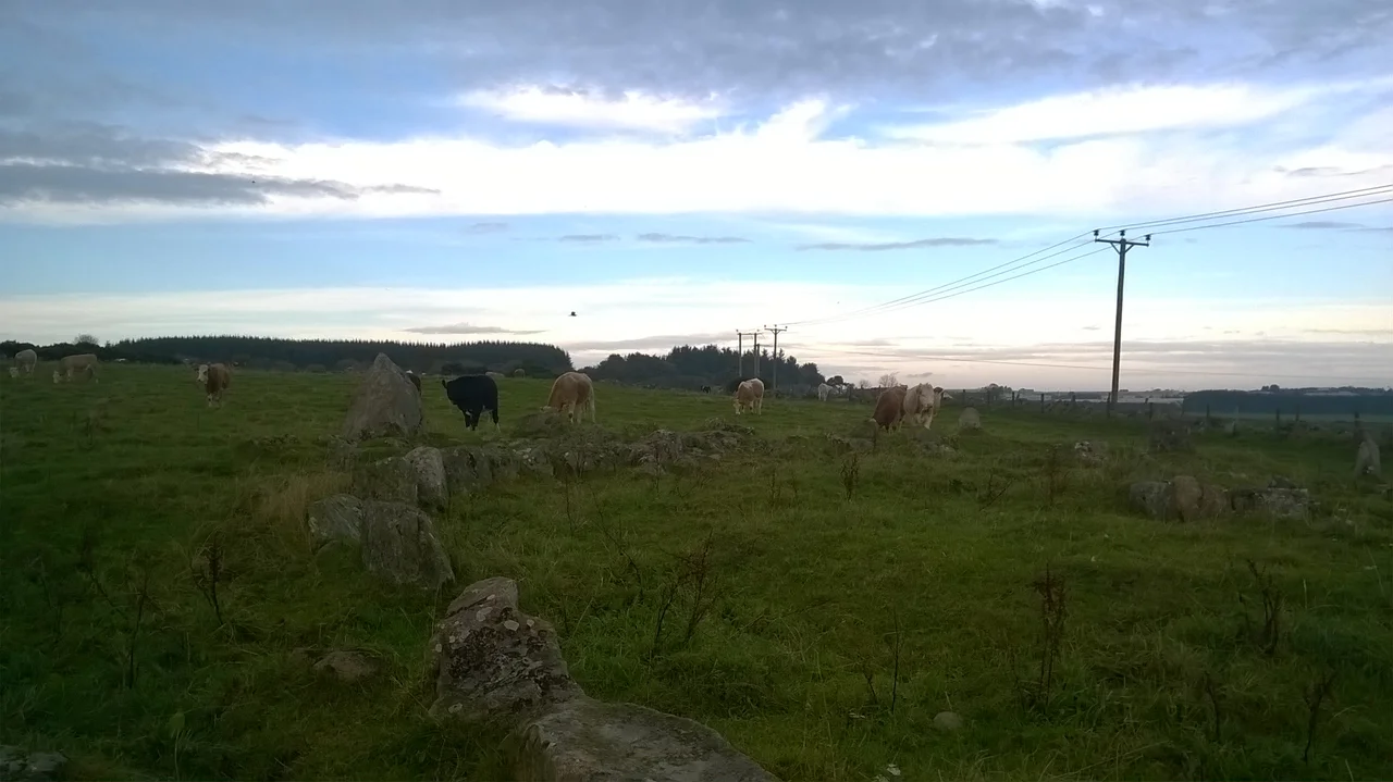 Aquhorthies is a Neolithic stone circle in Aberdeenshire, Scotland. The site is composed of a ring cairn and a recumbent stone circle which unusually has two rings. It stands one field away from Auld Bourtreebush stone circle. 57.05801°N 2.16351°W
