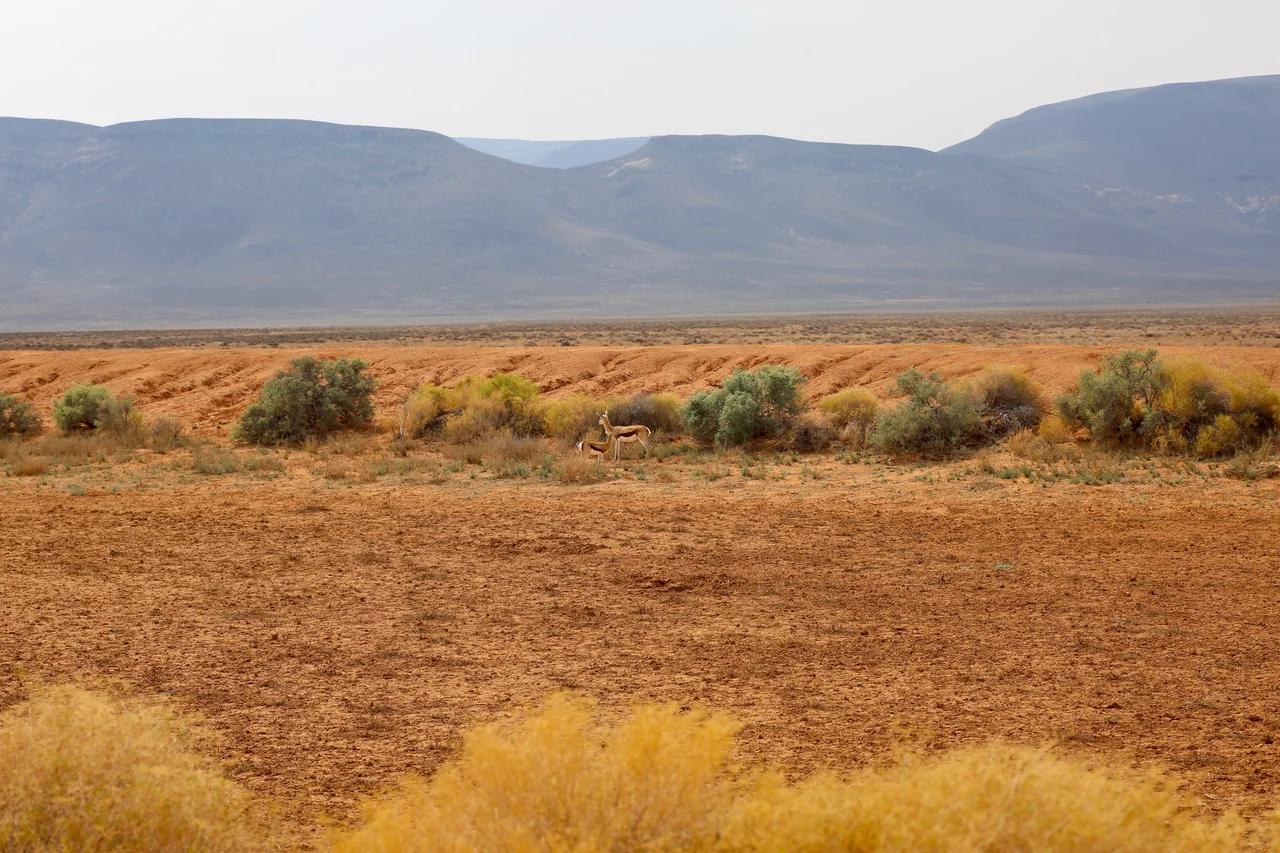 Tankwa Karoo National Park, Northern Cape, South Africa., Northern Cape, South Africa.