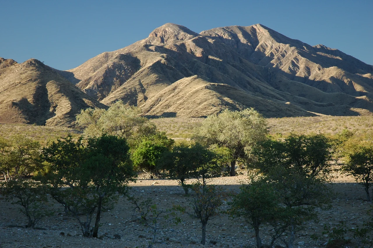 Kaokoland, Namibië

Photographie prise par GIRAUD Patrick