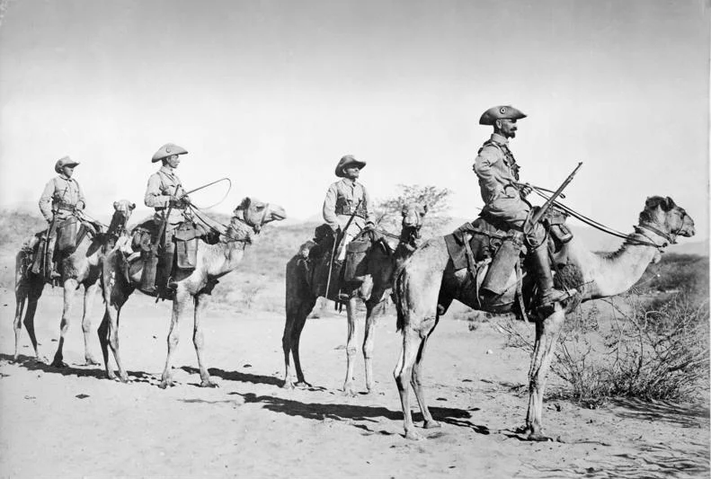 For documentary purposes the German Federal Archive often retained the original image captions, which may be erroneous, biased, obsolete or politically extreme. Kamelreiterpatrouille