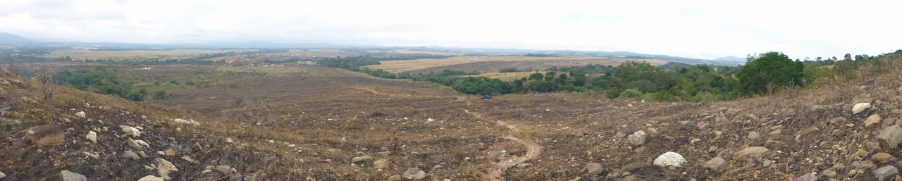 Panorama of Lopé National Park, taken shortly after annual burning