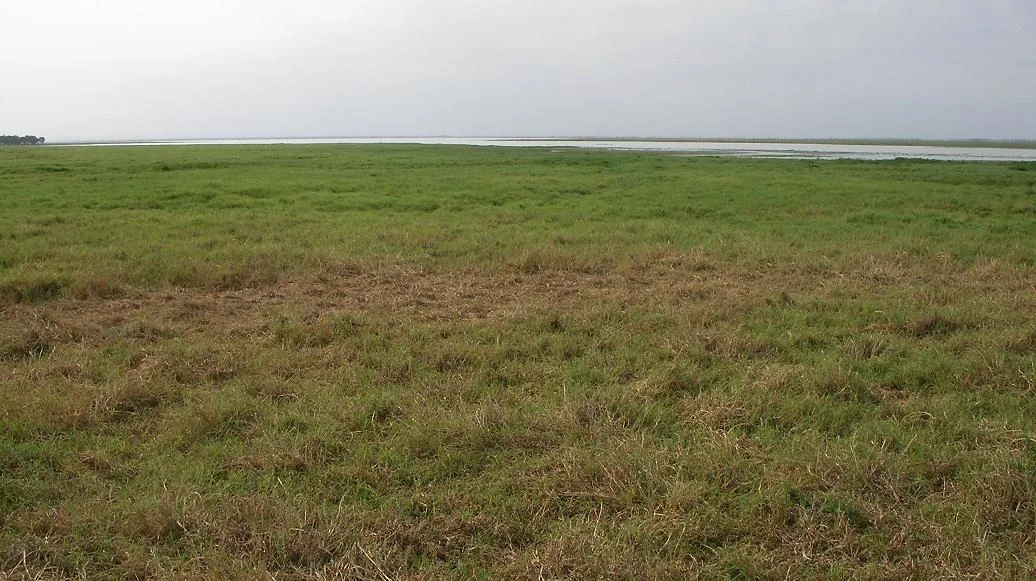 Lake Urema in the dry season, viewed from the southeast, in Gorongosa National Park, Mozambique.