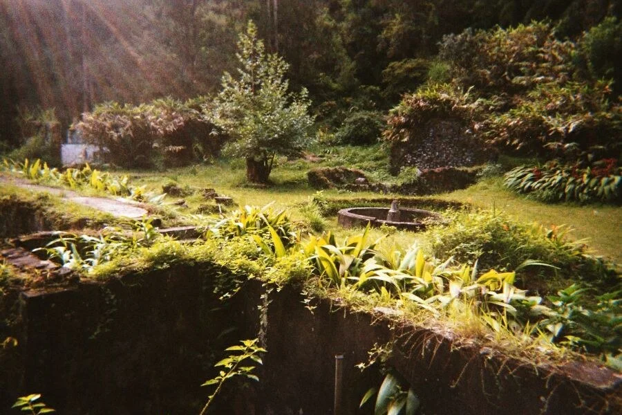 The remains of the once-famous thermal / mineral spa of Hell-Bourg, La Réunion, Indian Ocean, at the bottom of an overgrown ravine some minutes away from the village proper. I believe this is looking east.