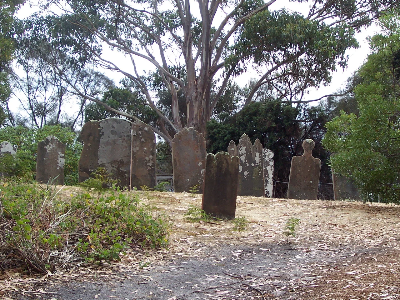 Photo of gravestones on Isle of the Dead in Port Arthur's harbor in Tasmania.