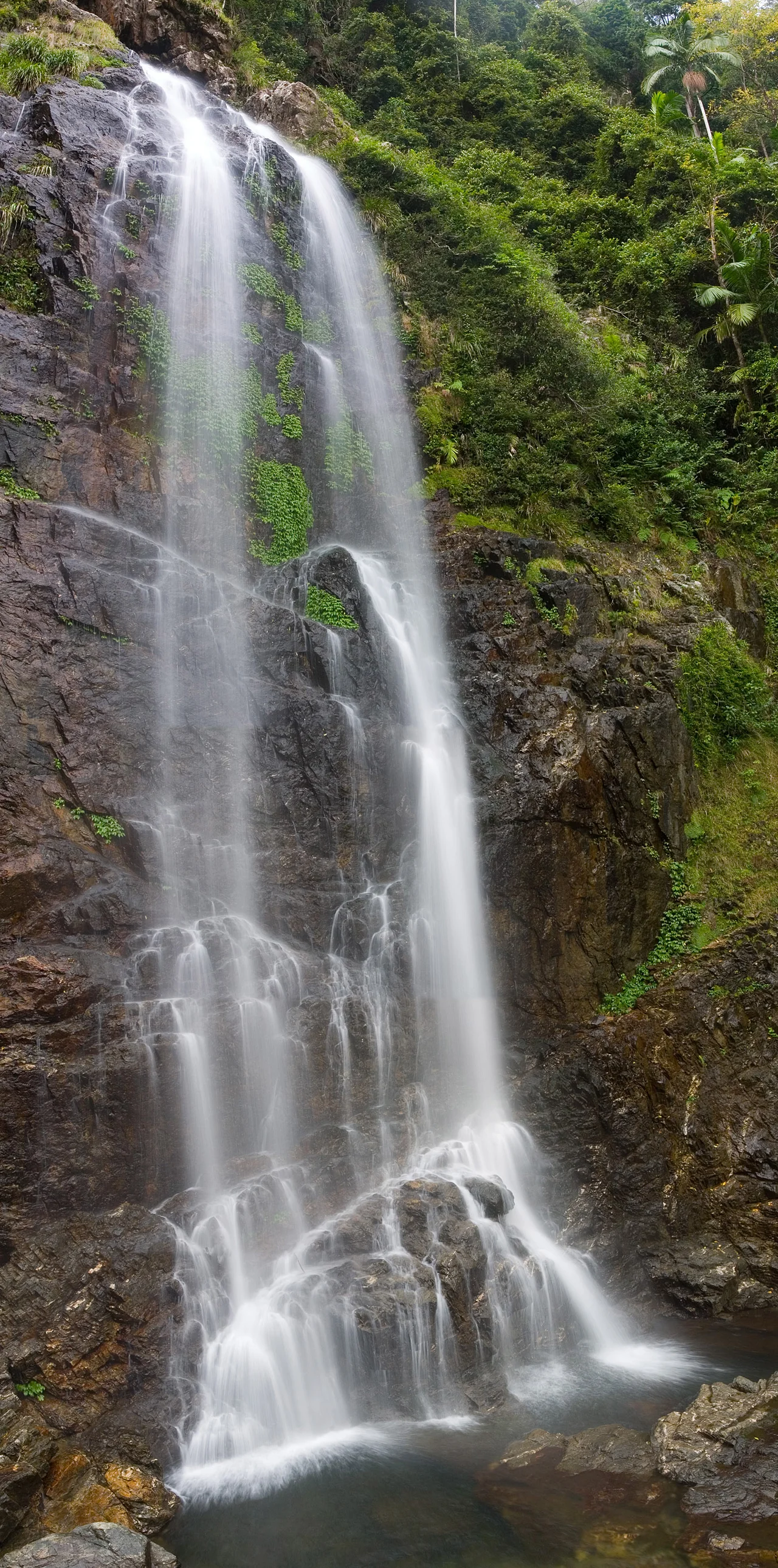 A panorama of 5 photos stitched together of the Cedar Falls along the Never Never circuit in Dorrigo National Park.