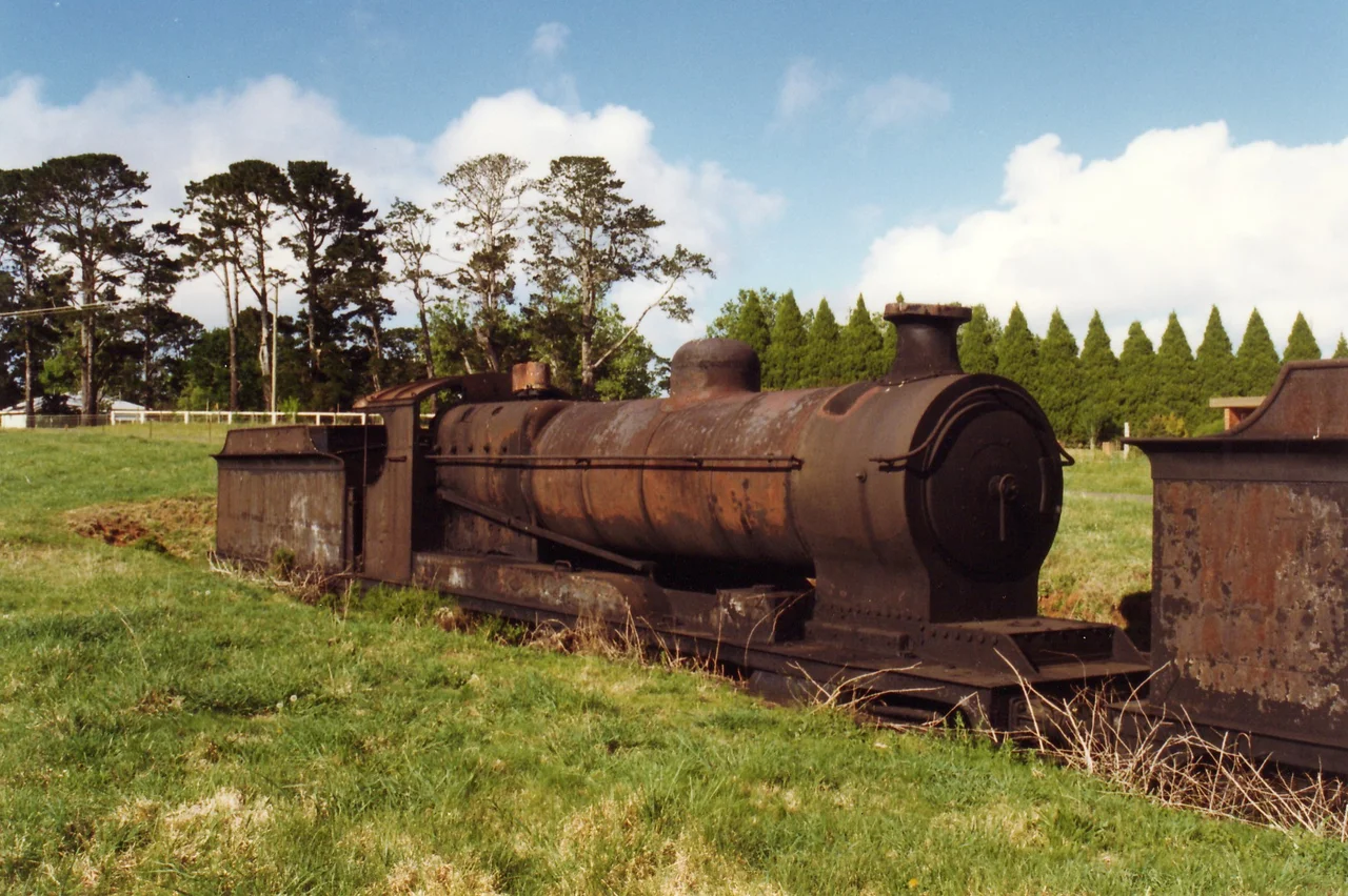 Steam trains at museum at Dorrigo