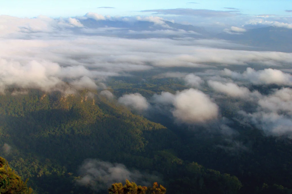 Wollumbin National Park, Australia, from summit of Mount Warning soon after daybreak