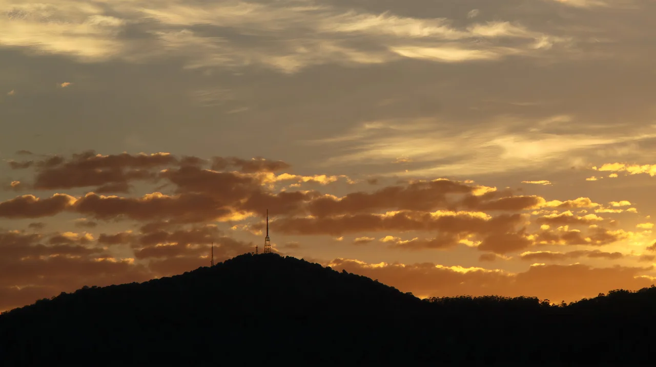 Sunrise over the summit of Mount Nardi, in the Nightcap Range of northern New South Wales, viewed from the south (Tony Rees photograph)