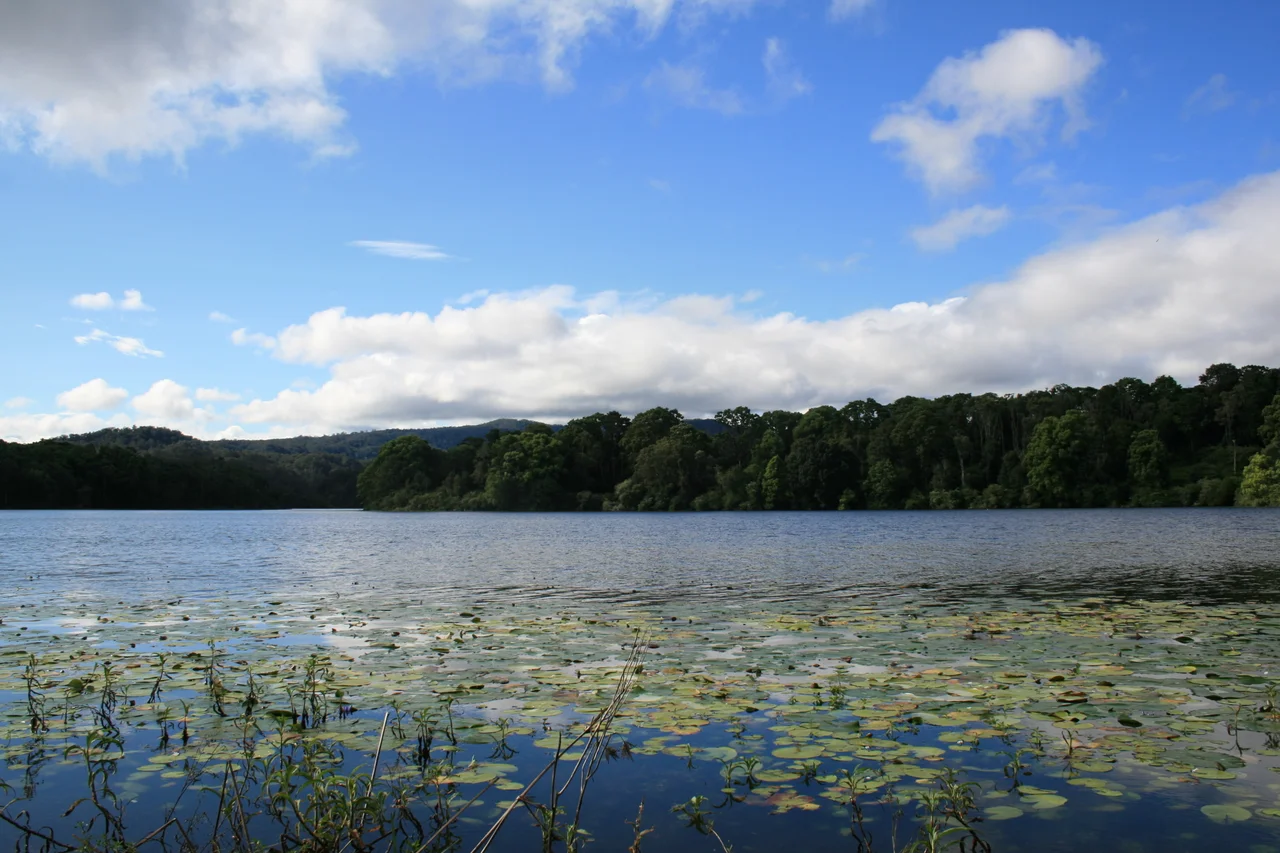 pic of rocky creek dam