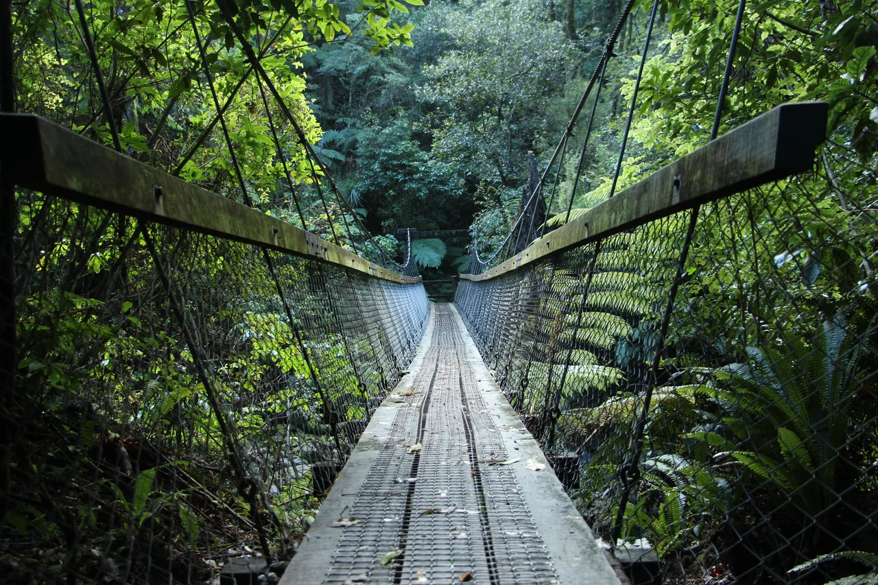 Great Walk Lake Waikaremoana, New Zealand