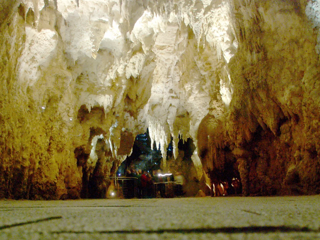 The Cathedral in the Waitomo Glowworm Caves system, looking back towards the main cave.  Stairs up can just be discerned in the distant background.  This was a 4 second exposure at ISO 800, without flash.  Only a limited amount of cave lighting was turned on due to flooding at the time.
