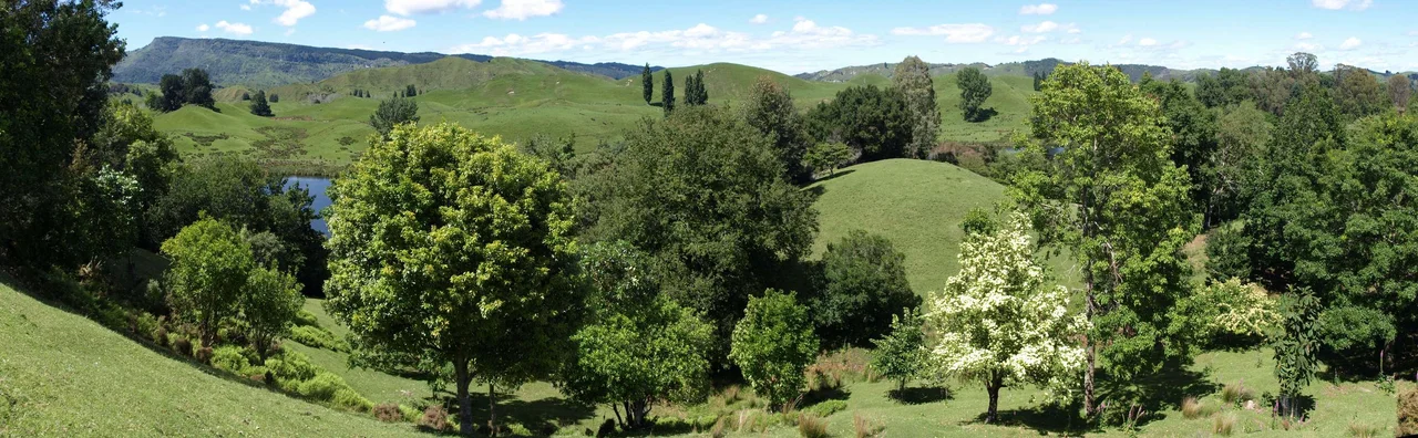 Hackfalls Arboretum, Tiniroto, Gisborne, NZ. View from “The Ridge” looking south. In the background Mount Whakapunake. In the middle some glimpses of Lake Karangata. Panorama created with Hugin-software. Location: Hackfalls Arboretum, Tiniroto, Gisborne, New Zealand. Technical data: Taken with Olympus E-410. Original picture 2932x908 pixels.