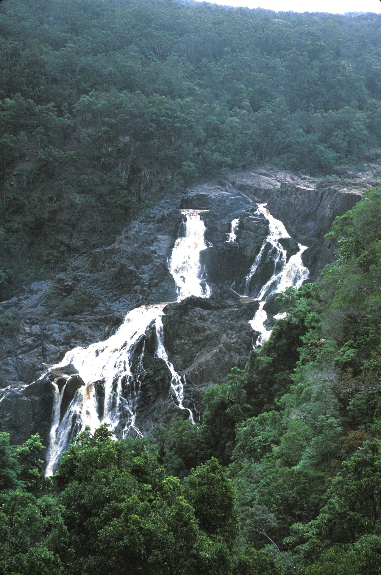 BARRON FALLS ON THE BARRON RIVER IN BARRON FALLS NATIONAL PARK; 2ND STOP ON THE SKYRAIL CABLEWAY UPWARD TRIP. LOCATED IN KURANDA, QUEENSLAND, Australia