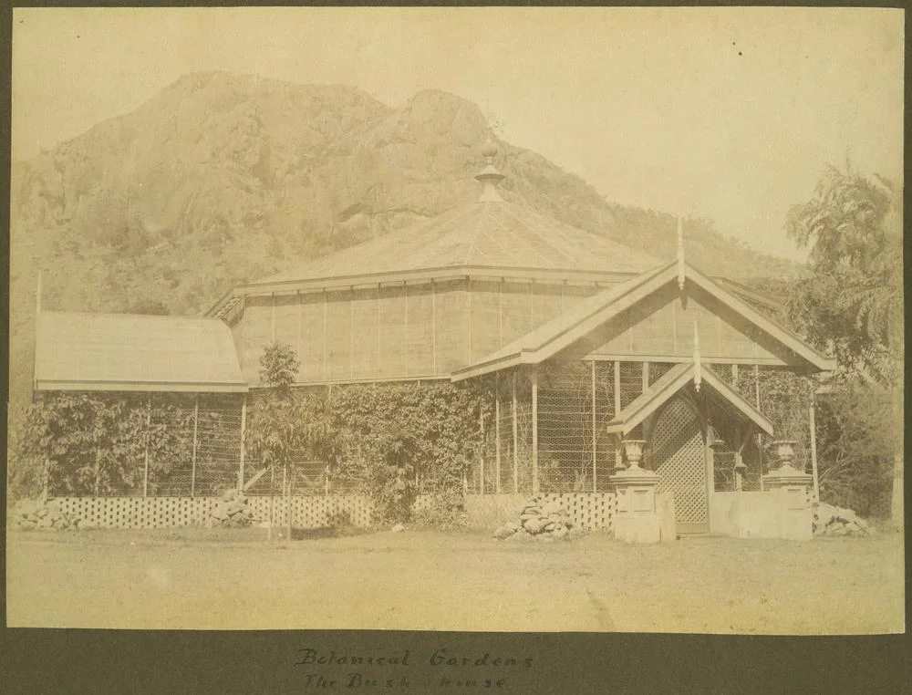 Bush House at the Townsville Botanical Gardens, ca.1900.
Screened in bush house with hexagonal roof with the backdrop of Castle Hill.