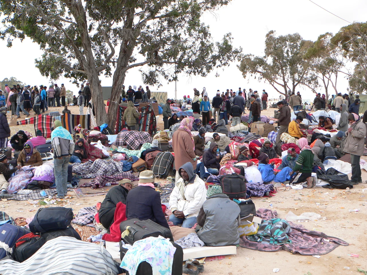 Réfugiés du Bangladesh au Camps de Choucha - Tunisie