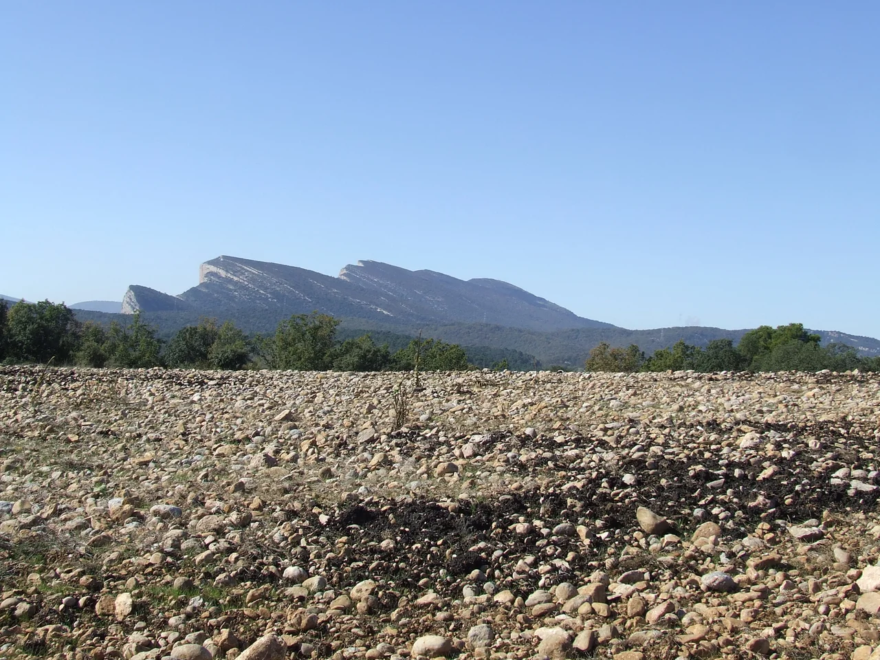 El vessant septentrional del Montsec de Rúbies (Llimiana, Pallars Jussà)