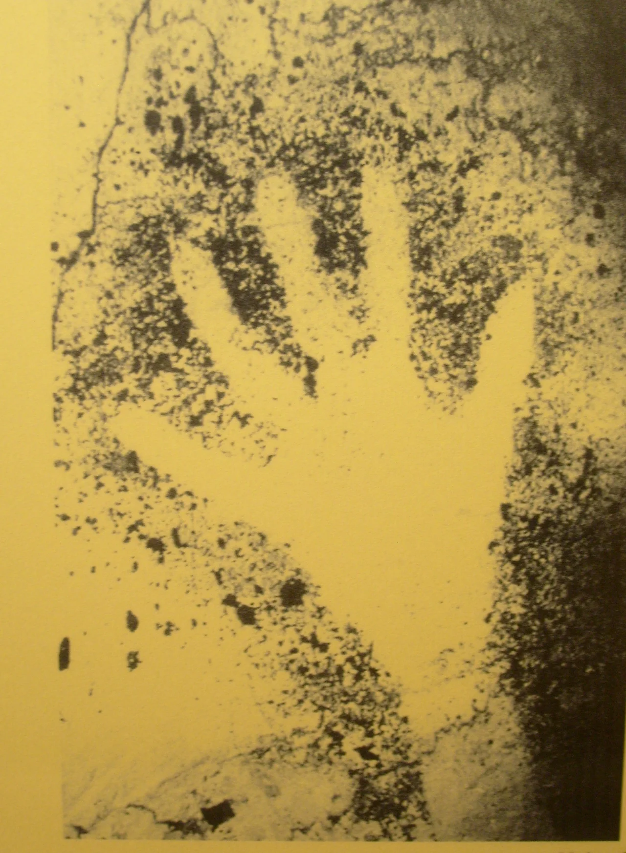 From Cosquer cave, located in the Calanque de Morgiou near Marseille, France. Stencil of a human hand dated 27,000 Before Present Era, shown at the Musée d'Archéologie Nationale (National Museum Archeology). in Saint-Germain-en-Laye, France