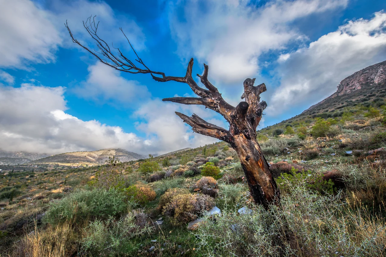 This is a a picture of a Natura 2000 protected area with ID