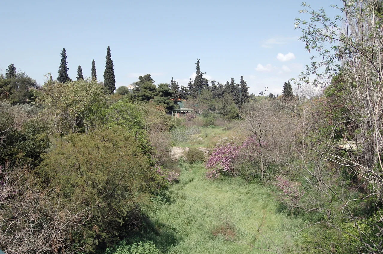 The only uncanalised part of the bed of Ilissos river that once ran outside the old city of Athens.