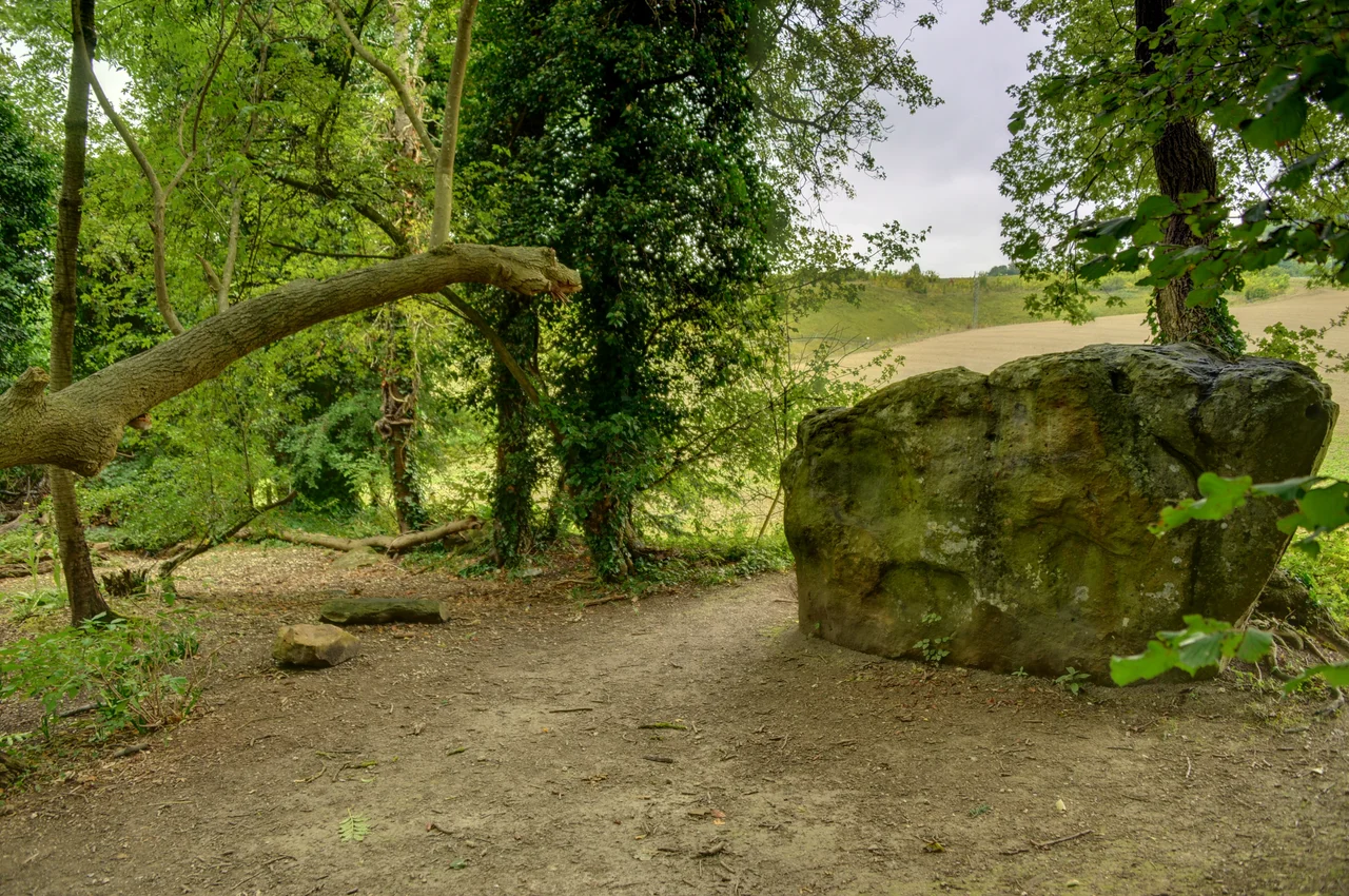 The White Horse Stone, a megalith on Blue Bell Hill, Kent, England, that was saved from the encroachment of a telephone company by a group of local neo-pagans.