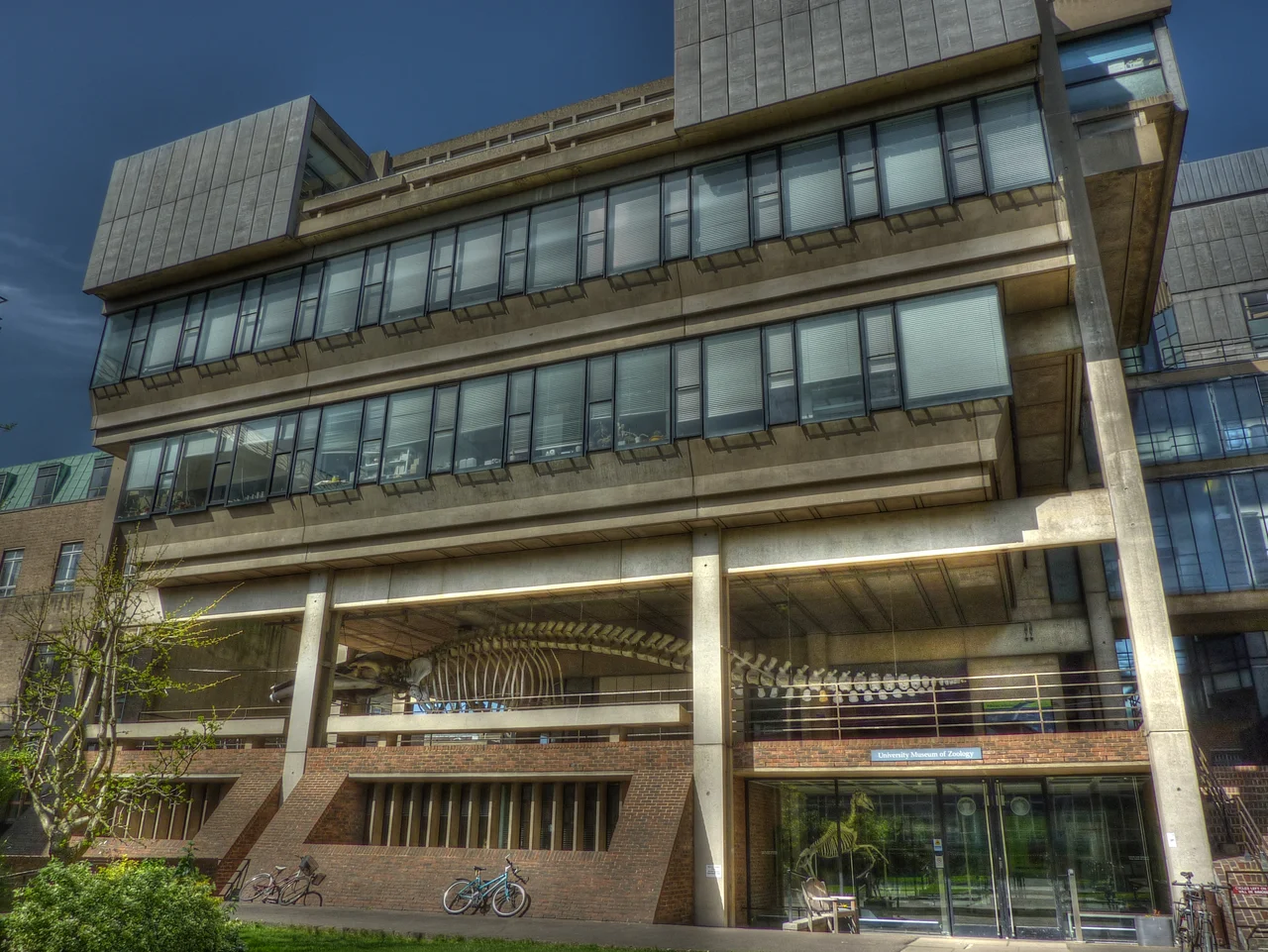 The Cambridge University Museum of Zoology, in Cambridge, England.