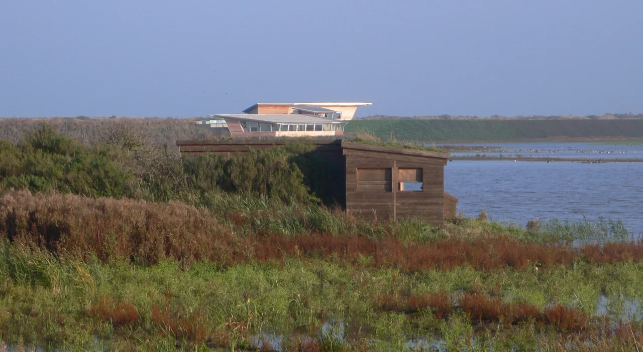 Titchwell Marsh RSPB. Island Hide (foreground) and Parrinder hides