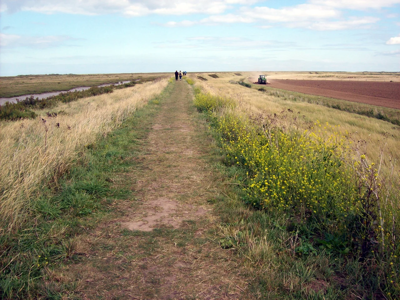The sea wall Blakeney National Nature Reserve, Norfolk, England. On the left are thousands of acres of salt and mud flats and a protected wildlife habitat. On the right of the wall the land has been reclaimed for farming. Norfolk Coast Path goes along to top of this portion of the wall.