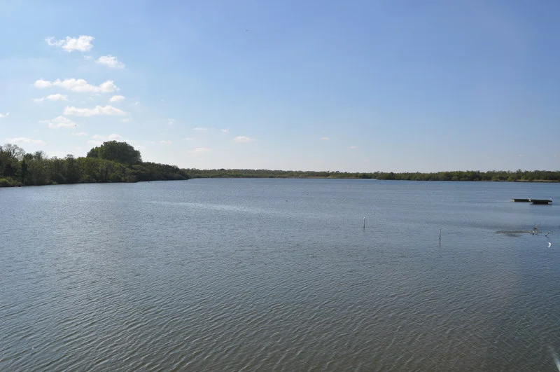 Ranworth Broad, near to Ranworth, Norfolk, Great Britain.
The broads were excavated in Mediaeval times to extract peat for fuel. The pits flooded creating broads, linked by rivers. The area is now a national park. 


The Cator family gave Ranworth Broad to NWT in 1949. NWT�s Patron the Queen opened the Broads Wildlife Centre in 1976. The trust run electric boat trips for those wishing to see the broad. A great view is also had from the floating visitor center.