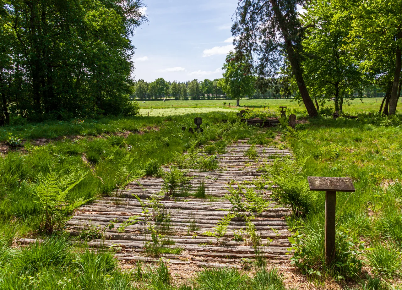 Bohlenweg im Wittemoor
