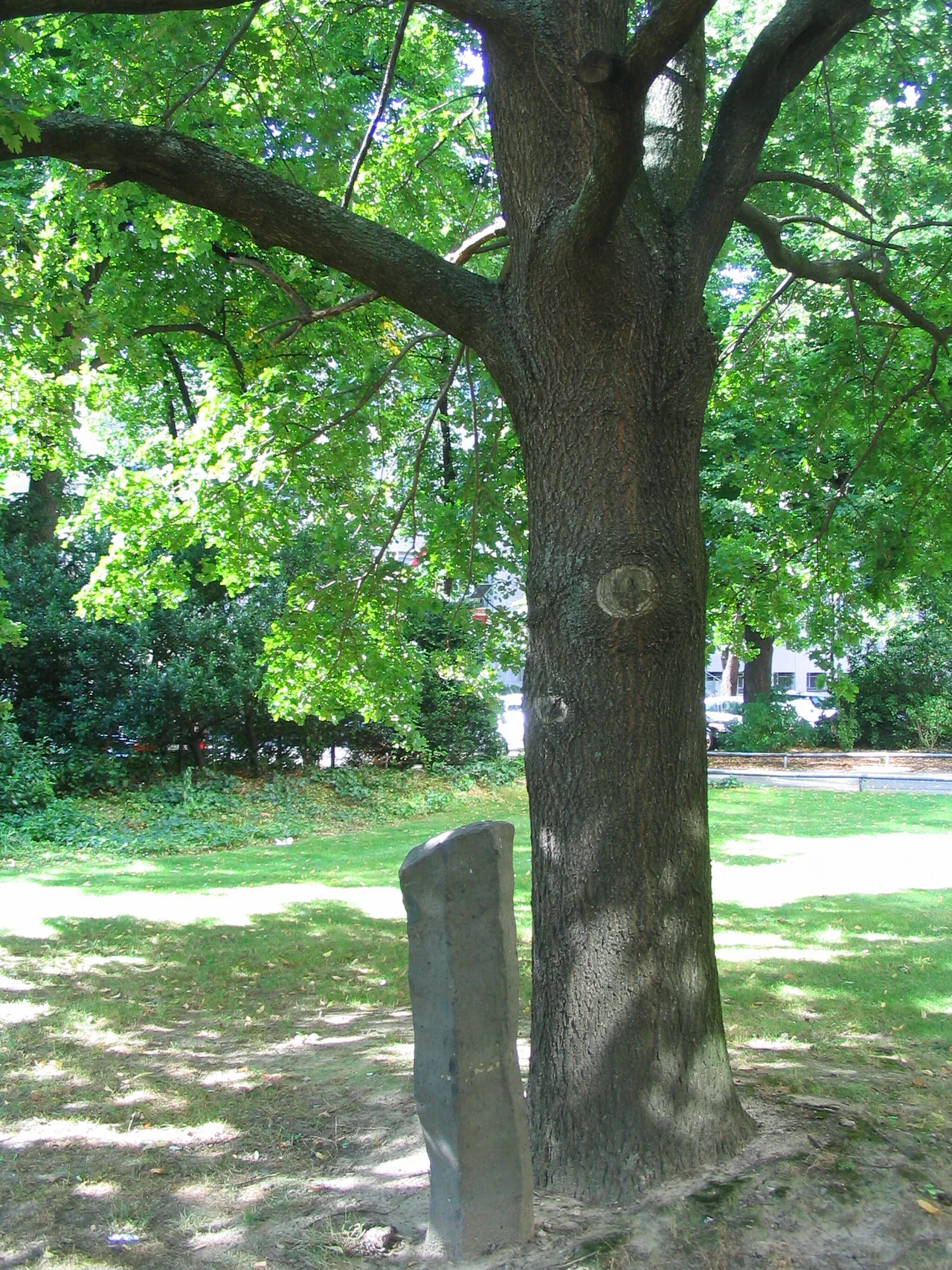 Aufschrift der Erklärungstafel: Joseph Beuys: „Eiche und Basaltsäule“. 1986 Säulenbasalt/Eiche. Die Installation entstand im Zusammenhang mit der Aktion „7000 Eichen“ auf der „Documenta 7“ in Kassel 1982. Standort Düsseldorf, Haroldstraße; Blickrichtung Nord.