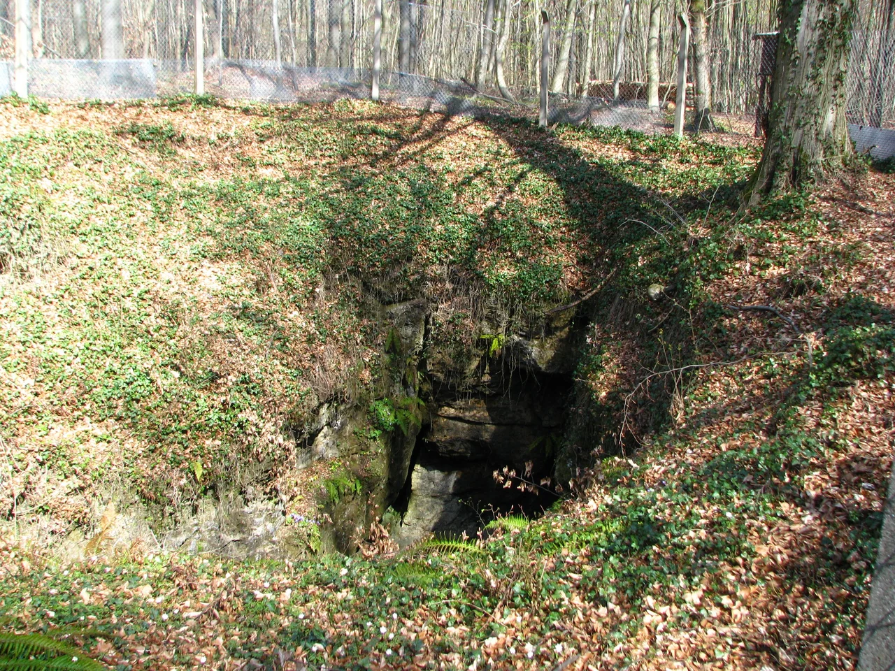 Natureingang der Einhornhöhle bei Scharzfeld.