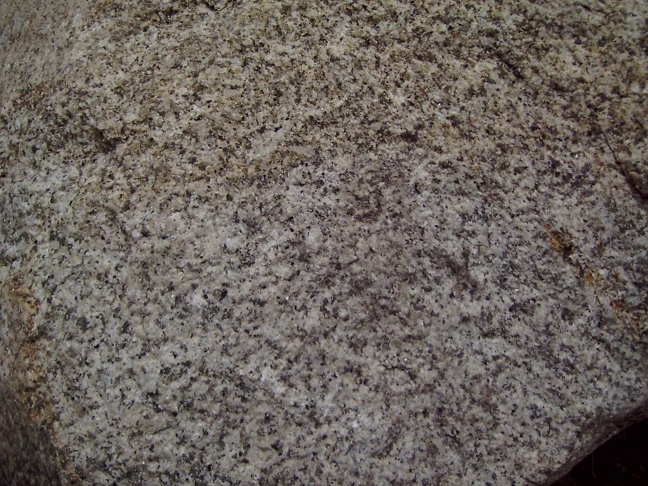 Fresh piece of Ramberg granite, Thale, Bode Gorge, Harz mountains, Germany
