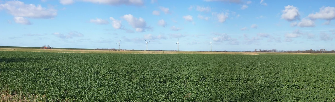Typical Butjadingen view near Tossens in the district of Wesermarsch, Germany.